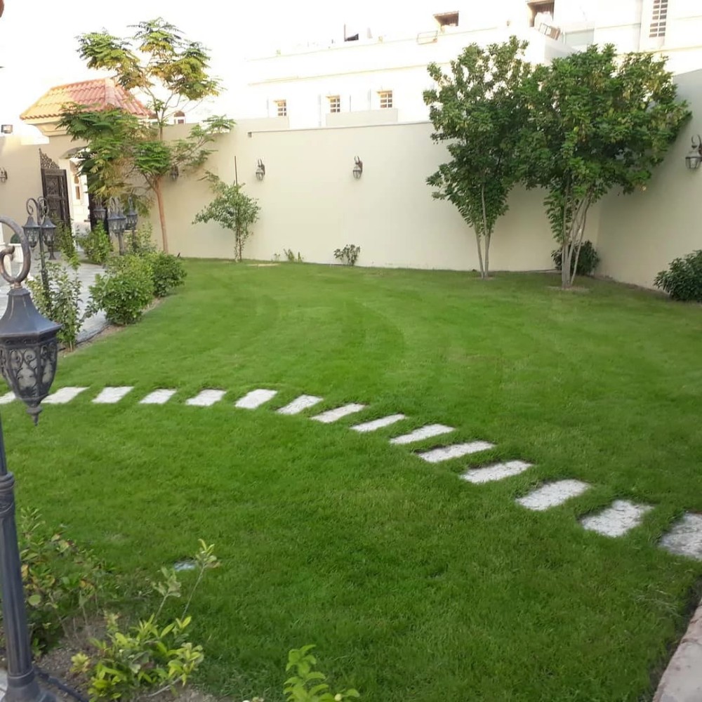 زراعه م - 3
