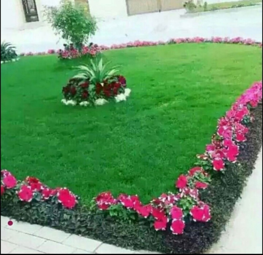 مهندس زراعي لتنسيق الحدايق - 3