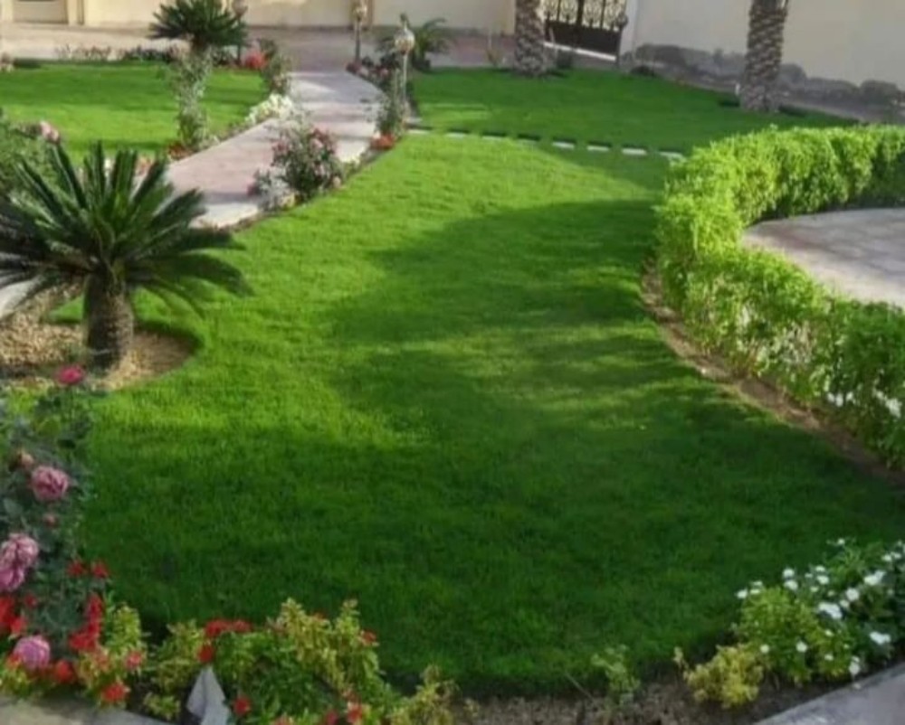 مهندس زراعي لتنسيق الحدايق - 1