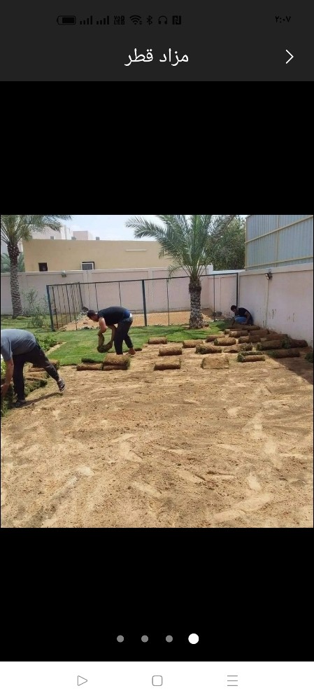 زراعة الحشيش الطبيعي وشبكة الرى - 1