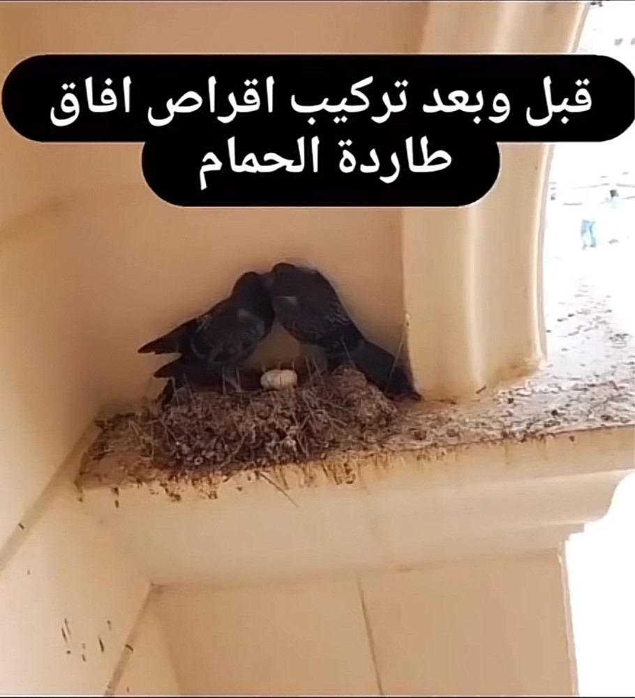 مانع طيور الحمام السهل والدائم - 2
