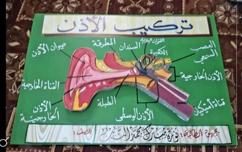 محمد إبراهيم الأسواني - 2