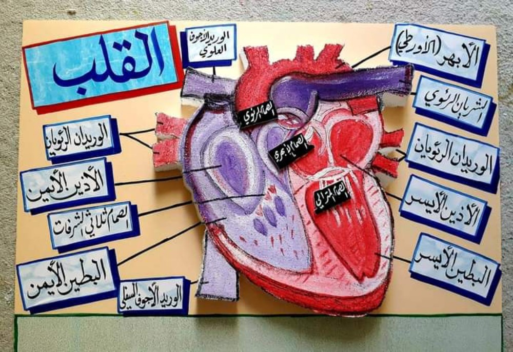 محمد إبراهيم الأسواني - 1