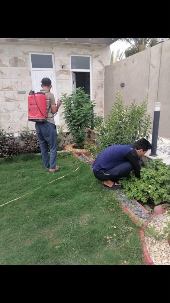 اعمال تكريب النخيل زراعة - 4