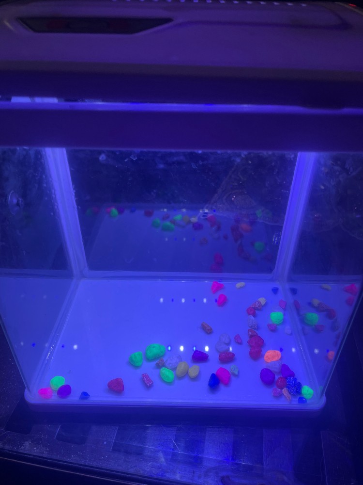 fish aquarium with light - 1