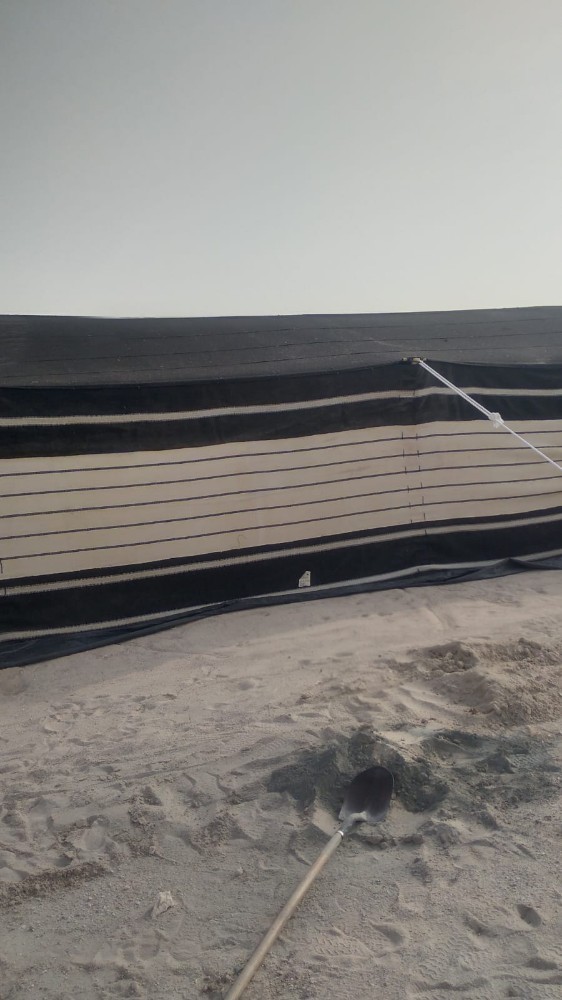 شعبان المصرى - 7