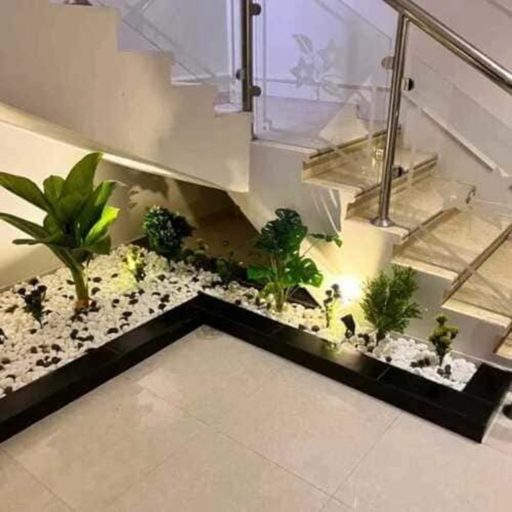 فني ديكورات وزراعة نباتات داخليه - 1
