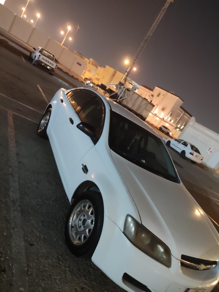 شحاته محمد احمد ابوالوفا - 8