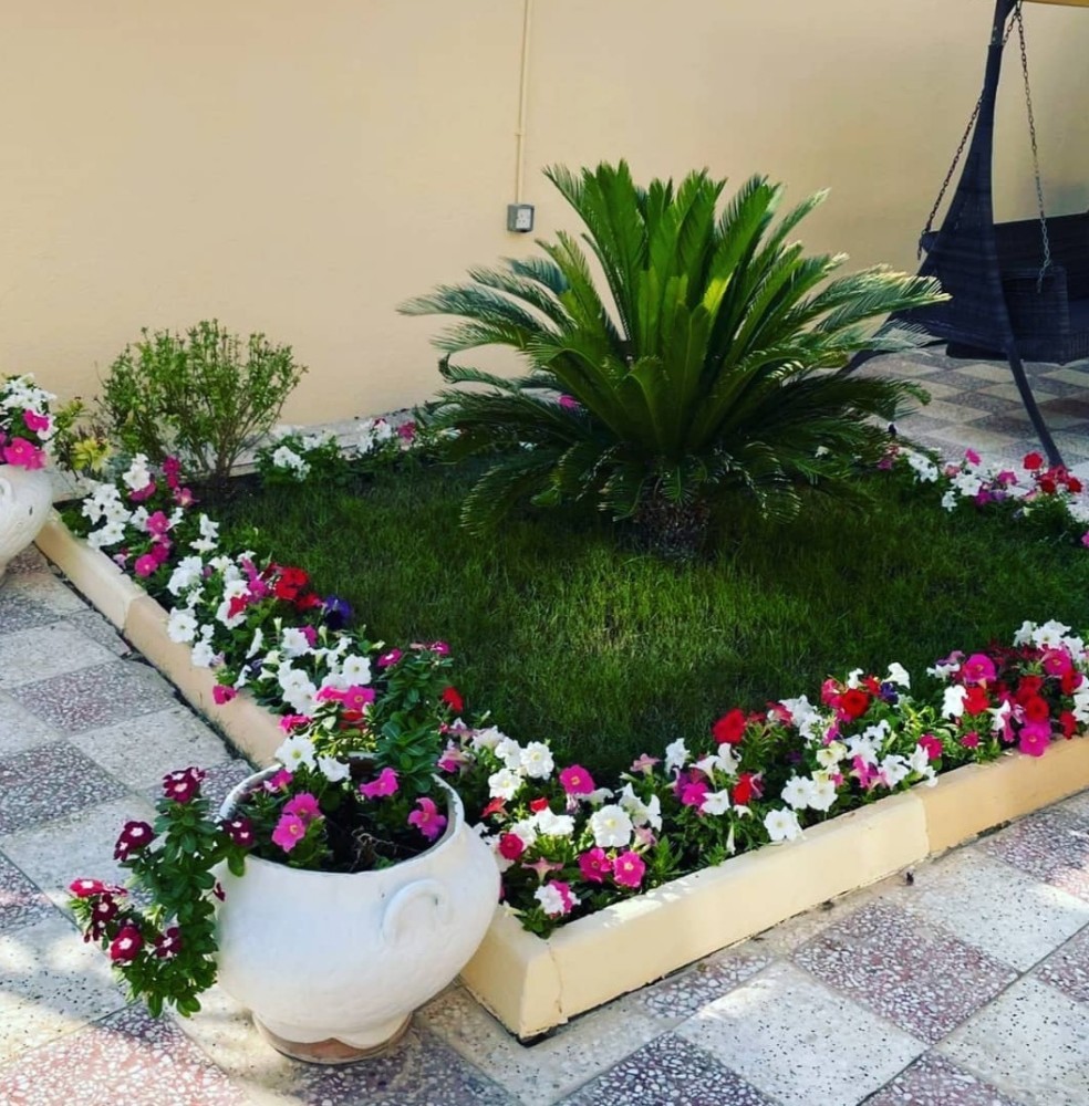 تنسيق وزراعة - 3