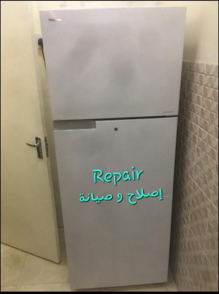 Freezer Fridge Chiller Repair Gas - 9