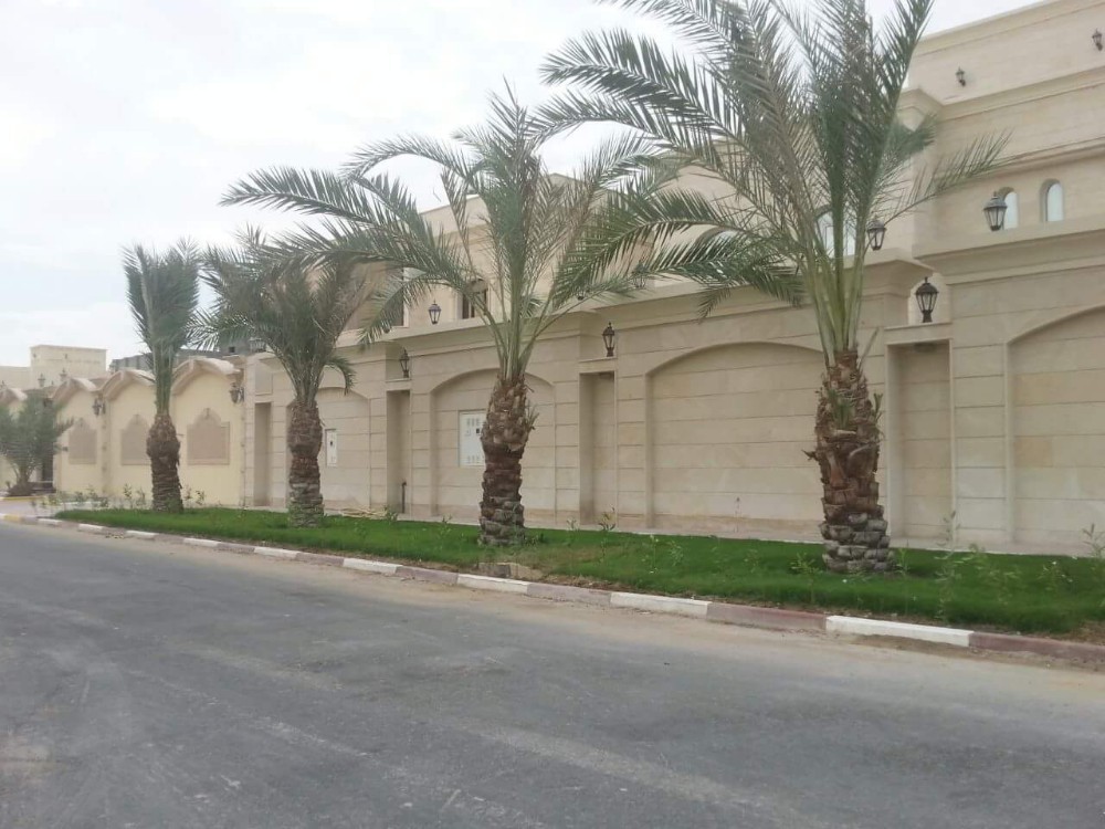 مزارع ومنصه الحدائق - 4