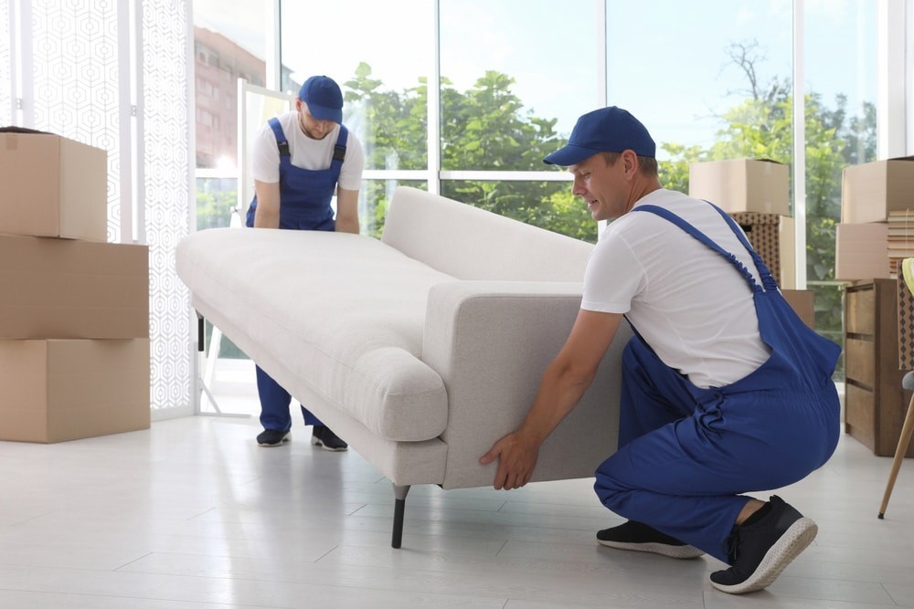 Moving And Shifting Service - 1