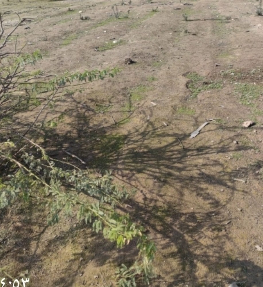 للبيع مزرعة بالشمال - 2