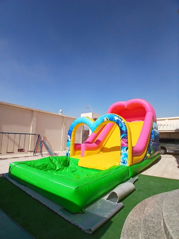 Slide, bounce and swimming pool - 10