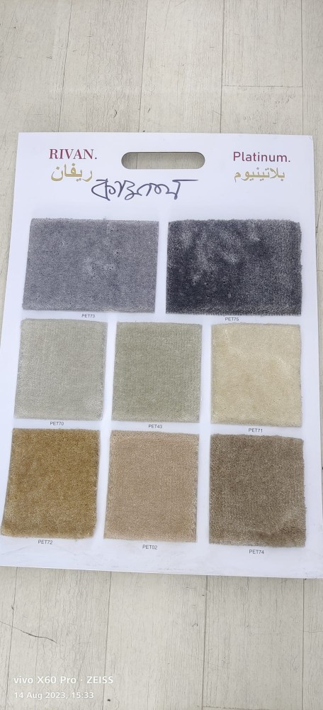 Carpet - 10