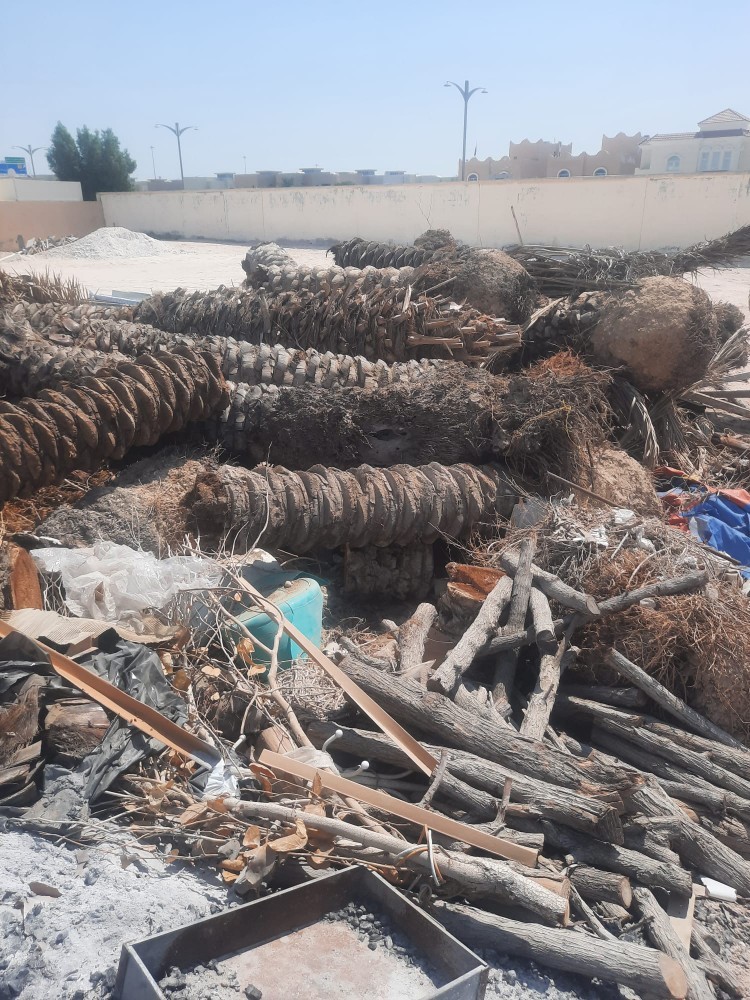 مقطع اشجار ونخيل - 1