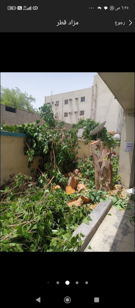 تقطيع اشجار وخلع نخيل - 4