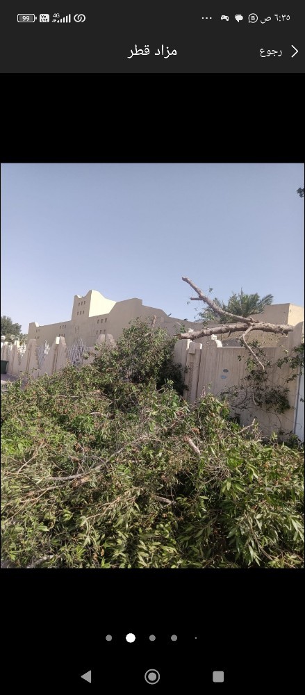 تقطيع اشجار وخلع نخيل - 2