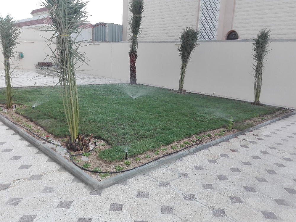 زراعه وديكور - 3