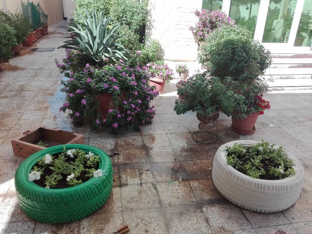 زراعه وديكور - 4