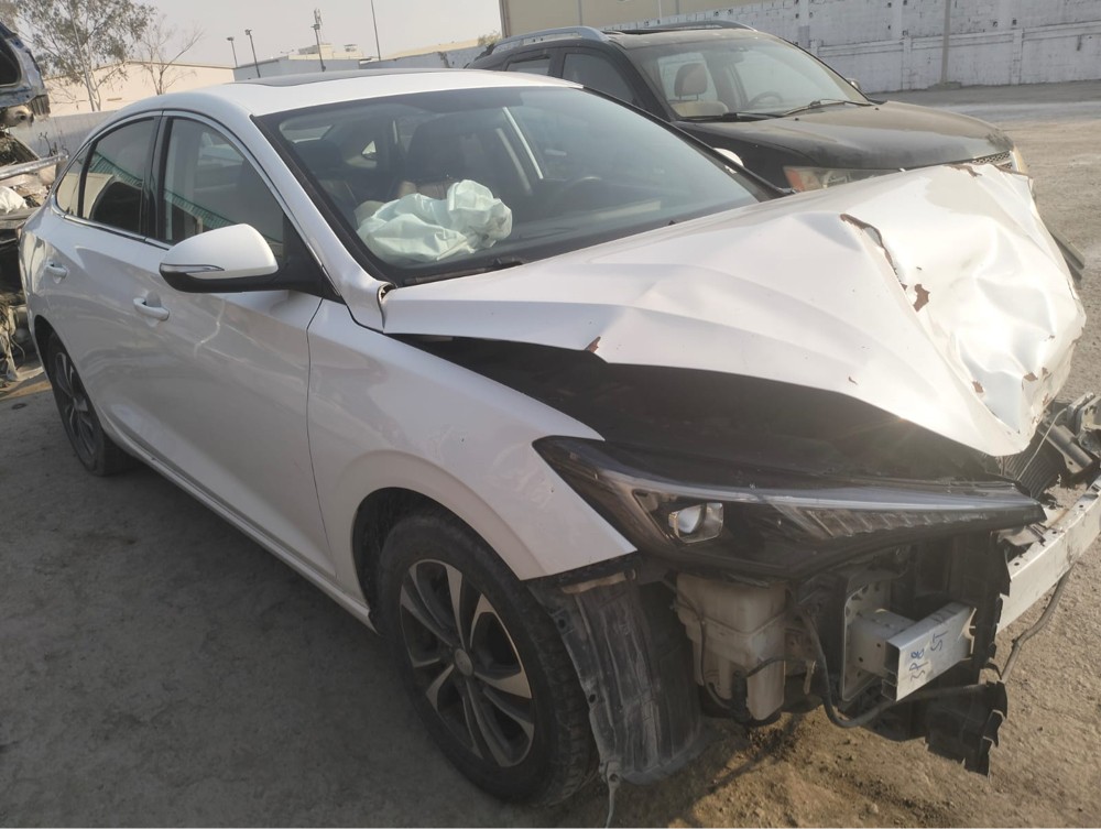 Changan Eado Plus - 9
