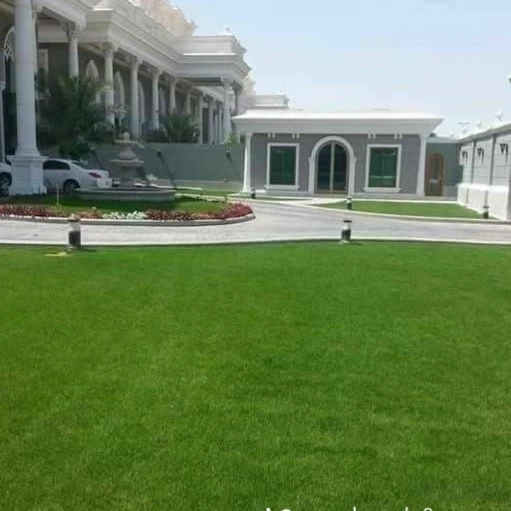 عشب طبعي للبيع - 4