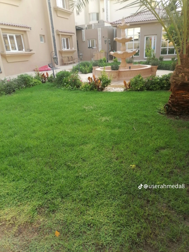عشب طبعي للبيع - 7