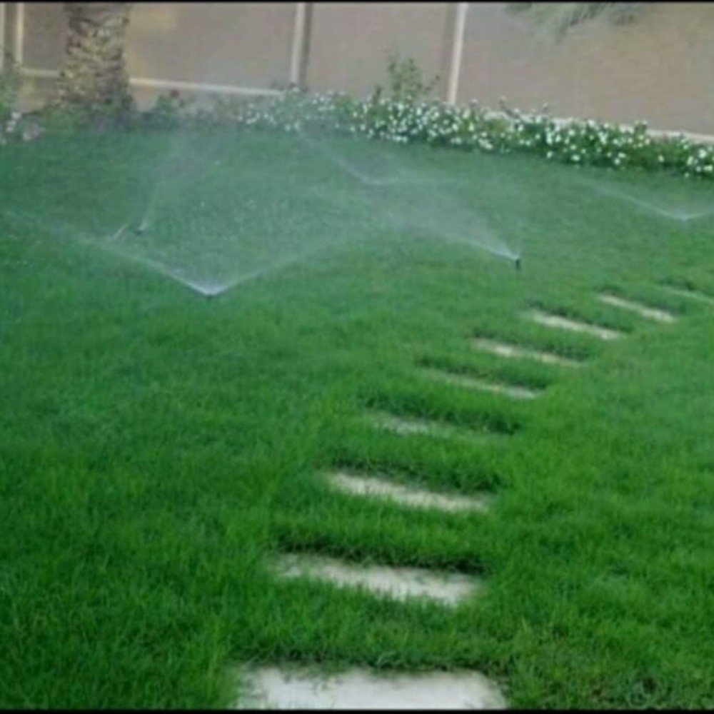 عشب طبعي للبيع - 15