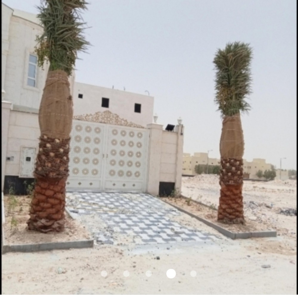 عشب طبعي للبيع - 11