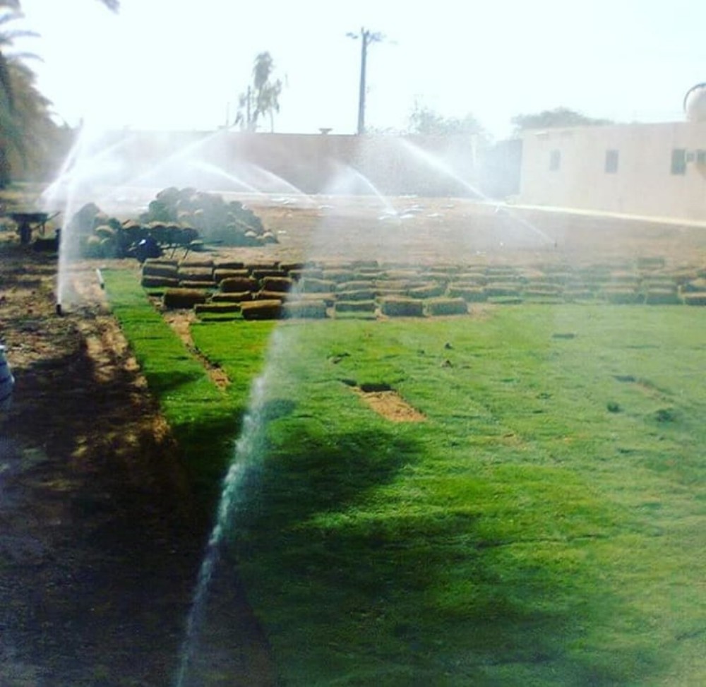 شبكات الري الحديثه 55504810 - 7