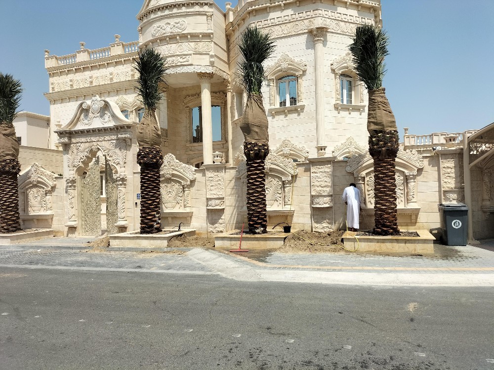 تركيب الانتر لوك 55504810 - 1