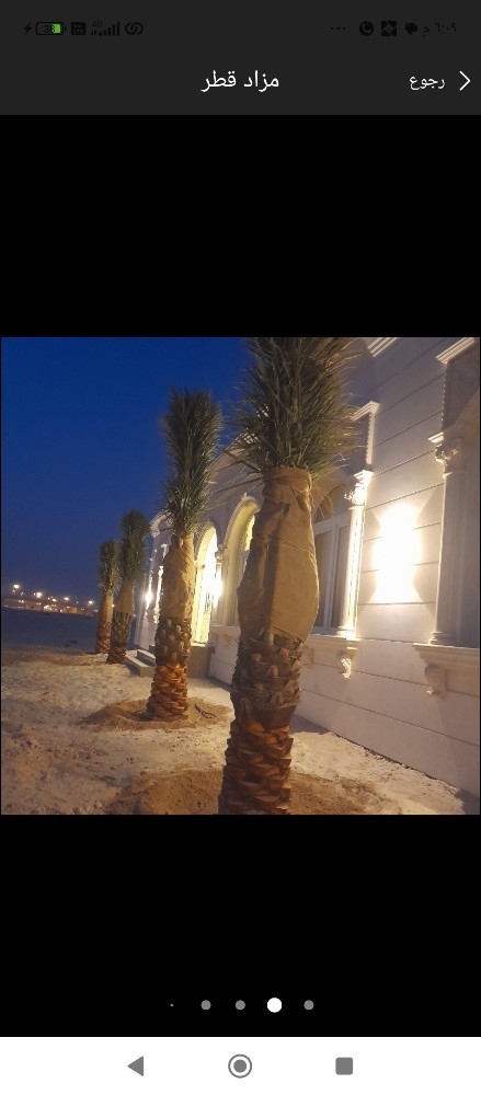 نخيل خدمات - 1