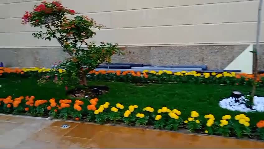 زراع ومنسق للحدائق - 1