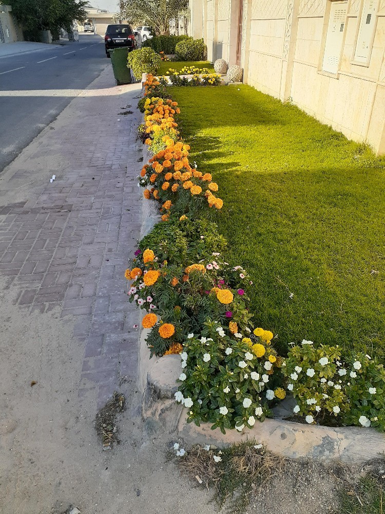مزارع ومنصف الحدائق - 3