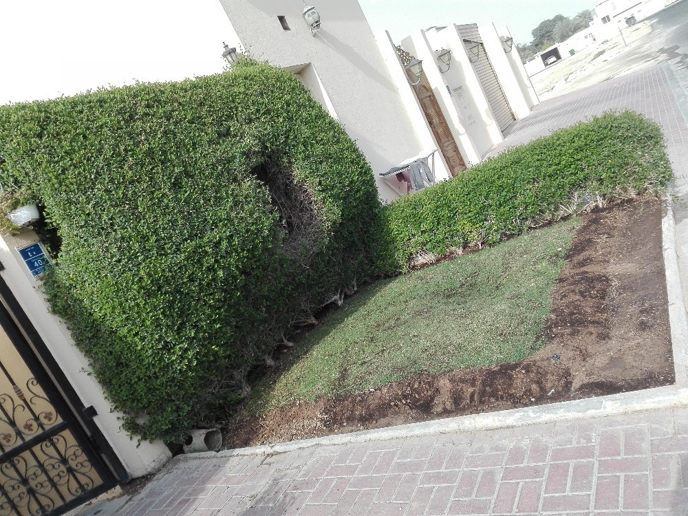 مزارع ومنصف الحدائق - 4