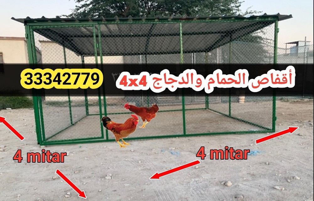 قفص الحمام - 2