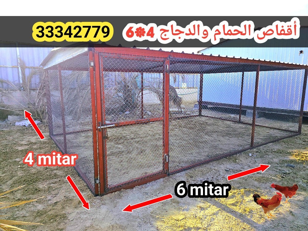قفص الحمام - 3