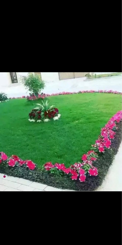 ابو عمرو للزراعه - 6
