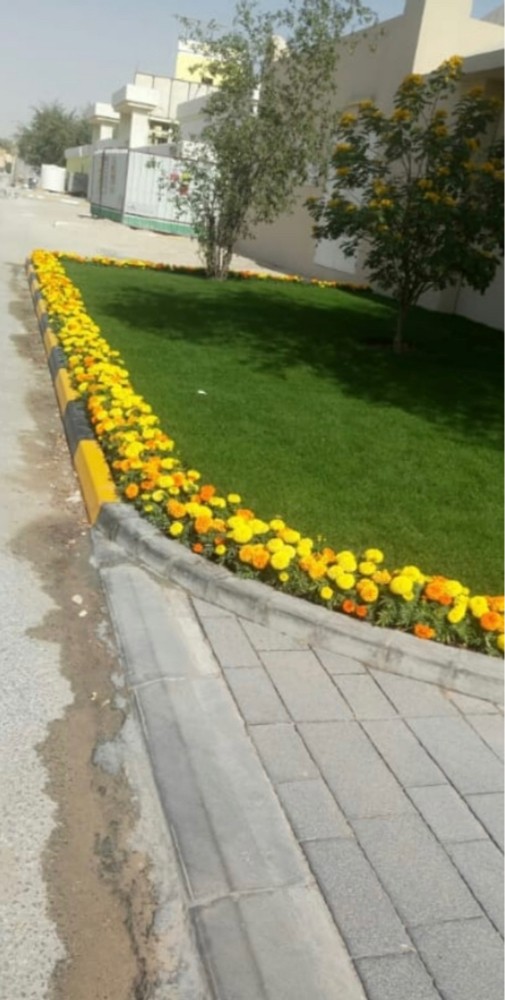 ابو عمرو للزراعه - 5