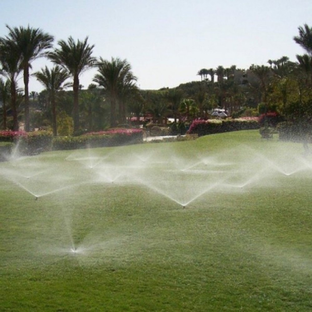 زراعه عشب طبيعي - 4