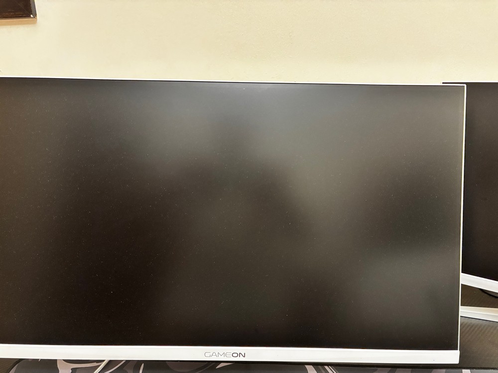 PROFESSIONAL GAMING MONITOR - 3