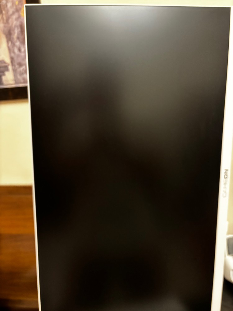 PROFESSIONAL GAMING MONITOR - 4