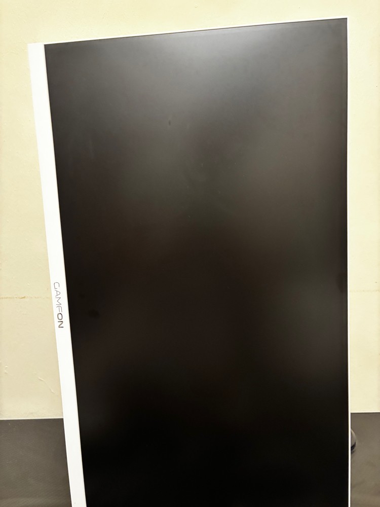 PROFESSIONAL GAMING MONITOR - 3