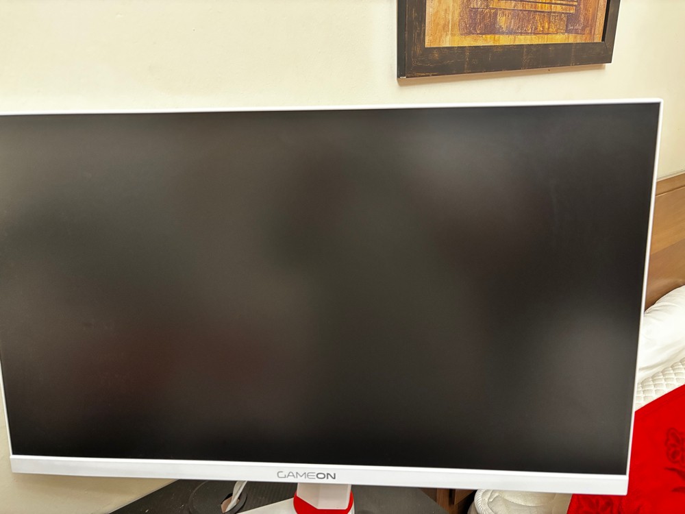 PROFESSIONAL GAMING MONITOR - 1