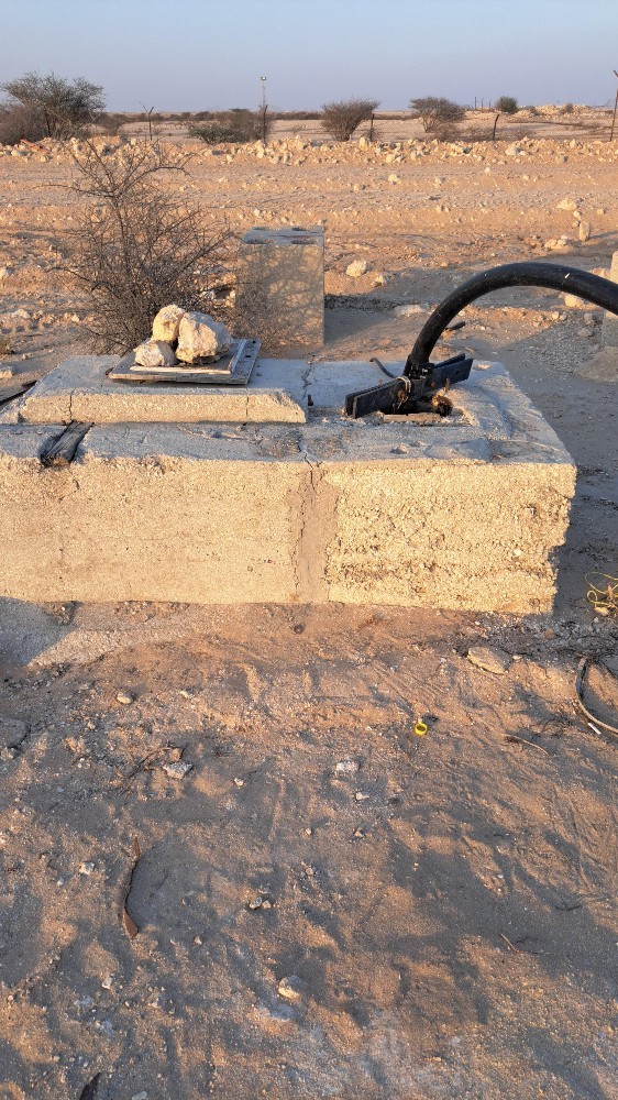 تنسيق الحدايق - 2