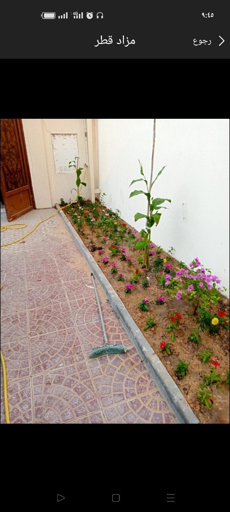 تنسيق وزرعه الحديقة والصيانة - 1