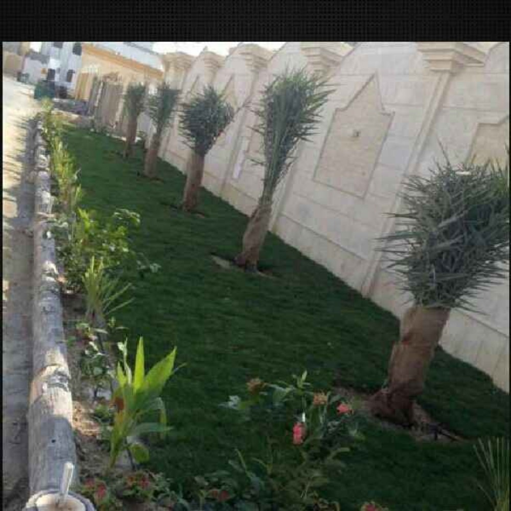 اشجار الزينه - 5