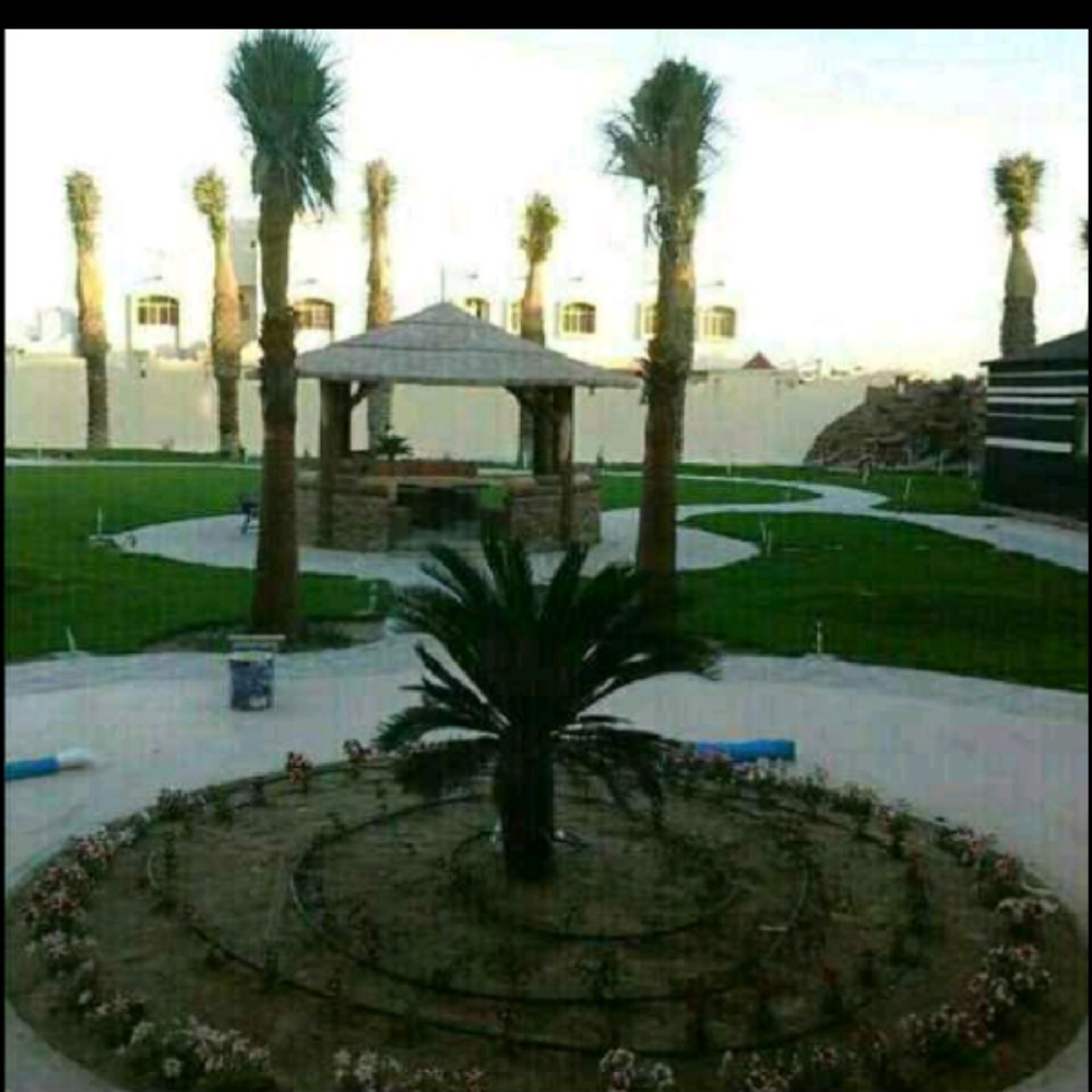 اشجار الزينه - 6