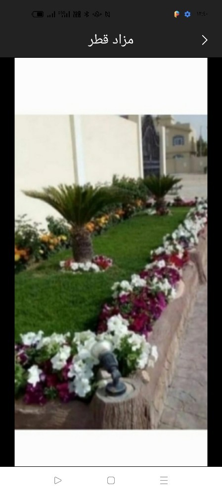 زراعة الفيلا والبيوت - 1