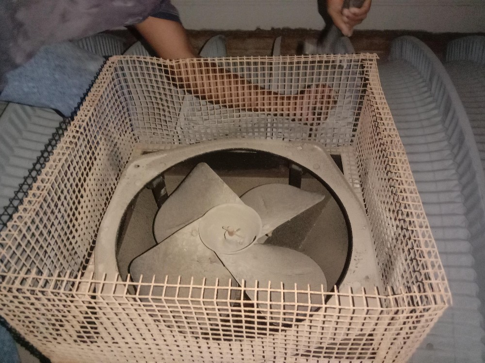 Exsast fan and maintenance - 2